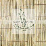 Reed Fence thumbnail-1