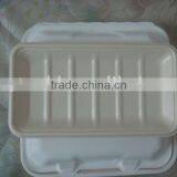 Biodegradable Bagasse Tray