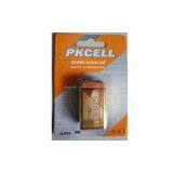 Alkaline Battery thumbnail-1