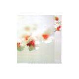 Acid Etched Glass--shooting Star thumbnail-2