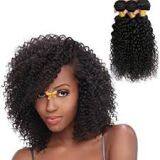 14 Inch Double Drawn Indian Silky Straight Curly Human Hair thumbnail-1