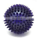 Spiky Bouncy Ball Dog Toy, Cleans Teeth and Promotes Good Dental and Gum Health for Your Pet, Interactive Toy