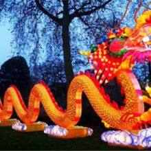 Amimal Shaped Lighting thumbnail-1