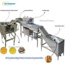 Automatic Egg White Separator Machine Line-Egg Washer-breaker-separator Machine thumbnail-3