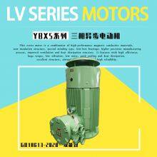 ATEX-Certified Flameproof Three-Phase Asynchronous AC Motor thumbnail-5