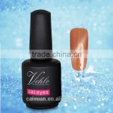 V.chlo Professional Factory OEM uv/led cat eye color gel nail polish