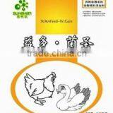 Poultry Feed Probiotics SUKAW.Gain Poultry Probiotics thumbnail-1