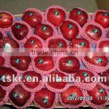 Wholesale Prices Apple Fruit Apple Fruit Types of Red Apples thumbnail-1