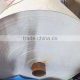 PLASTIC PE TARPAULIN 100% Virgin New Raw Material Custom Size All Purpose High Tensible Striped Hem Prenvent uv Tear-resisntant thumbnail-3