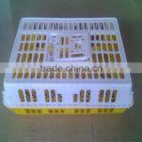 OEM / ODM Customized Hot Sale Plastic Chicken Poultry Cage in Shanghai thumbnail-3