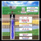 Electric Submersible Pump System