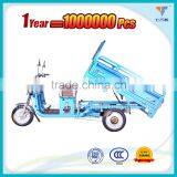 Three Wheel 60 v 1000 w Brushless dc Motor Electric Vehicle