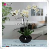 real touch orchid flower white for office decoration