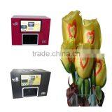 Flower Beauty Digital Nail Printer Machine For Salon Use thumbnail-1