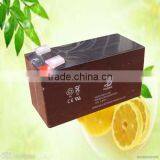 Rechargeable SLA Accumulator Use for Micro Water Pump