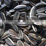 Chinese Black Sunflower Seed thumbnail-5