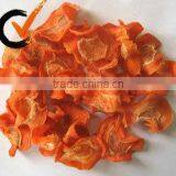 Hot Sell Dehydrated Carrot Slice thumbnail-1