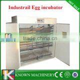Chicken,Reptile,Bird,Emu,Ostrich,Duck Usage Digital Egg Incubator and Egg Hatcher (Manufacturer) thumbnail-5
