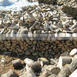 kilin dried firewood