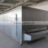 Fruits Tunnel Freezer