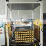 Automatic Industrial Palletizer for Canned Peach