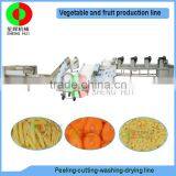Factory Offer Air Bubble Ozone Fruit and Vegetable Peeling Cutting Washing Drying Automatic Machine Production Processing Line thumbnail-1