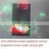 Portable Anti-reflection Projection Screen thumbnail-6