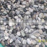 Natural River Pebble Stone