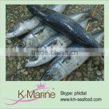 China Manufacturer Frozen Scomeber Jopanicus Lot Number#kmw4012 thumbnail-1