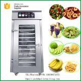 High Quality WSHG-1 Fruit and Vegetable Drying Machine thumbnail-3