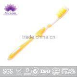 Hot Sale & High Quality Tooth Brush Toothbrush thumbnail-3