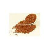 Sorghum,sorghum for Food,sorghum for Medicine of Inner Monglia Tongmingqianhe Co.,ltd thumbnail-2