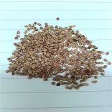 Sandblasting material walnut shell sand polishing media