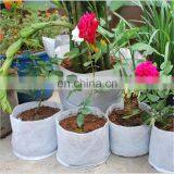 Wholesale 5 Gallon Non Woven Felt Garden Strawberry Planter Grow Bag thumbnail-5