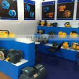 Electric Motor, Y2, Cast Iron Body, Copper Made Rotor Windings(without Aluminum) thumbnail-6