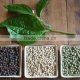 DRIED BLACK PEPPER 500 G/L thumbnail-1