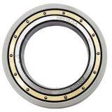 NU315ECM/C3VL0241 75*160*37mm Insocoat bearings