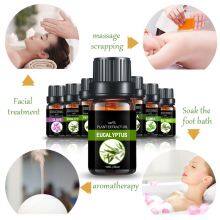 Factory Wholesale Eucalyptus Essential Oil Pure Natural Oil thumbnail-5