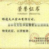 Honor certificate