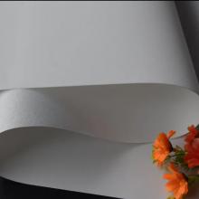 280gsm Hand-painted 100% Cotton Oil Canvas Stretched Canvas Roll for Artist thumbnail-3