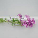 Bottom price new products colorful purple chrysanthemums