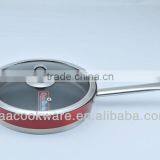 Professional Stainless Steel Frypan With Transparent High-temperature Painting Non-stick Inside for Wholesale