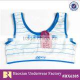 Sport Seamless Bra Top With Stripe