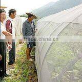 Cheap of Mosquito Nets ,anti Insect Bird Net