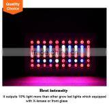 Quality c Ree Chip High Power Led Grow Light for Garden Growing thumbnail-5