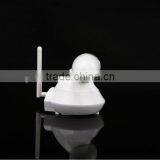 Hotsale Indoor Use Wide Angle Security Camera/IP Cam With P2P Technology Support NAS Storage 8812