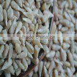 Bakery Sunflower Kernels for Human Consumption thumbnail-2
