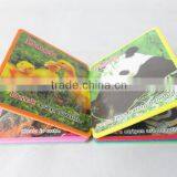 Educational English Learning EVA Foam Baby Book