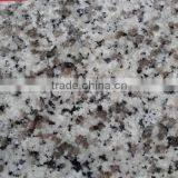 Stable Quality G603 Granite Seasame White Tile