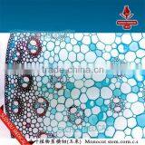 Zea Stem TS Corn Stem Prepared Slides thumbnail-3